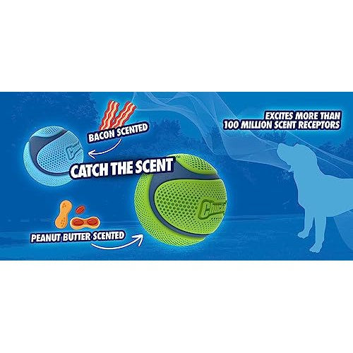 Chuckit! Sniff Ball Dog Toy