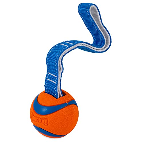 Chuckit! Ultra Tug Dog Toy