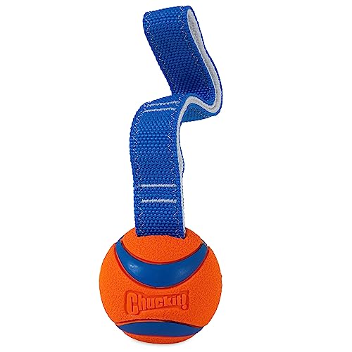 Chuckit! Ultra Tug Dog Toy