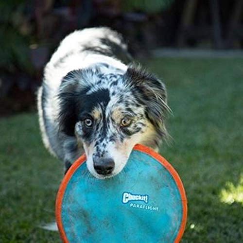 Chuckit! Paraflight Max Glow Dog Toy Light Up Flying Disc