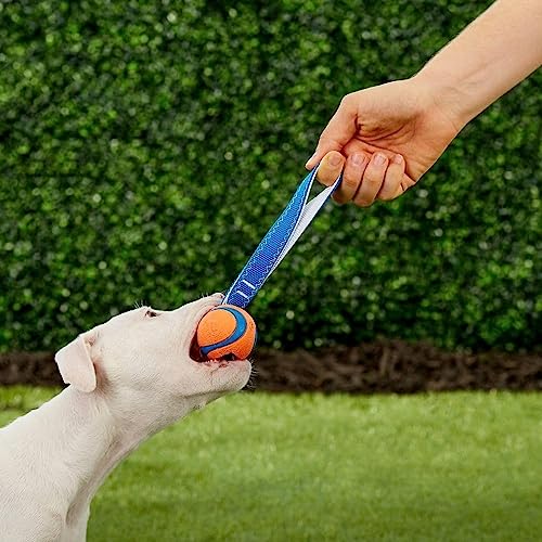 Chuckit! Ultra Tug Dog Toy