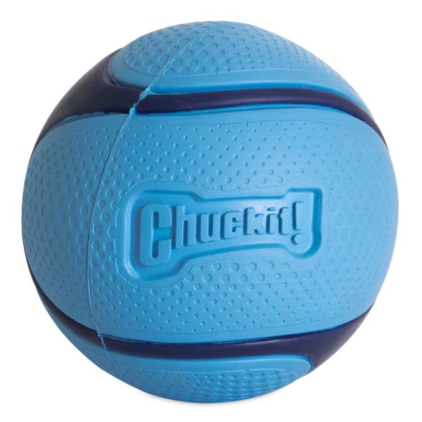 Chuckit! Sniff Ball Dog Toy