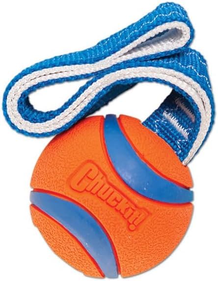 Chuckit! Ultra Tug Dog Toy