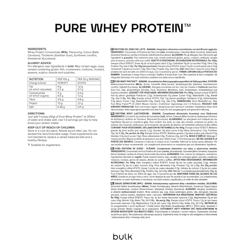 Bulk Pure Whey Protein Powder Shake, Iced Latte, 500g