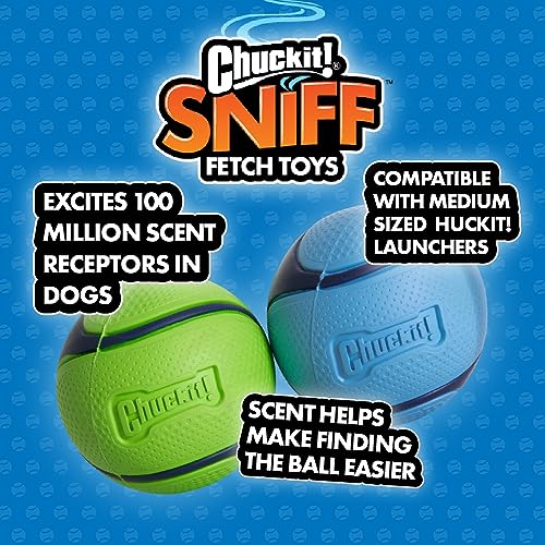 Chuckit! Sniff Ball Dog Toy