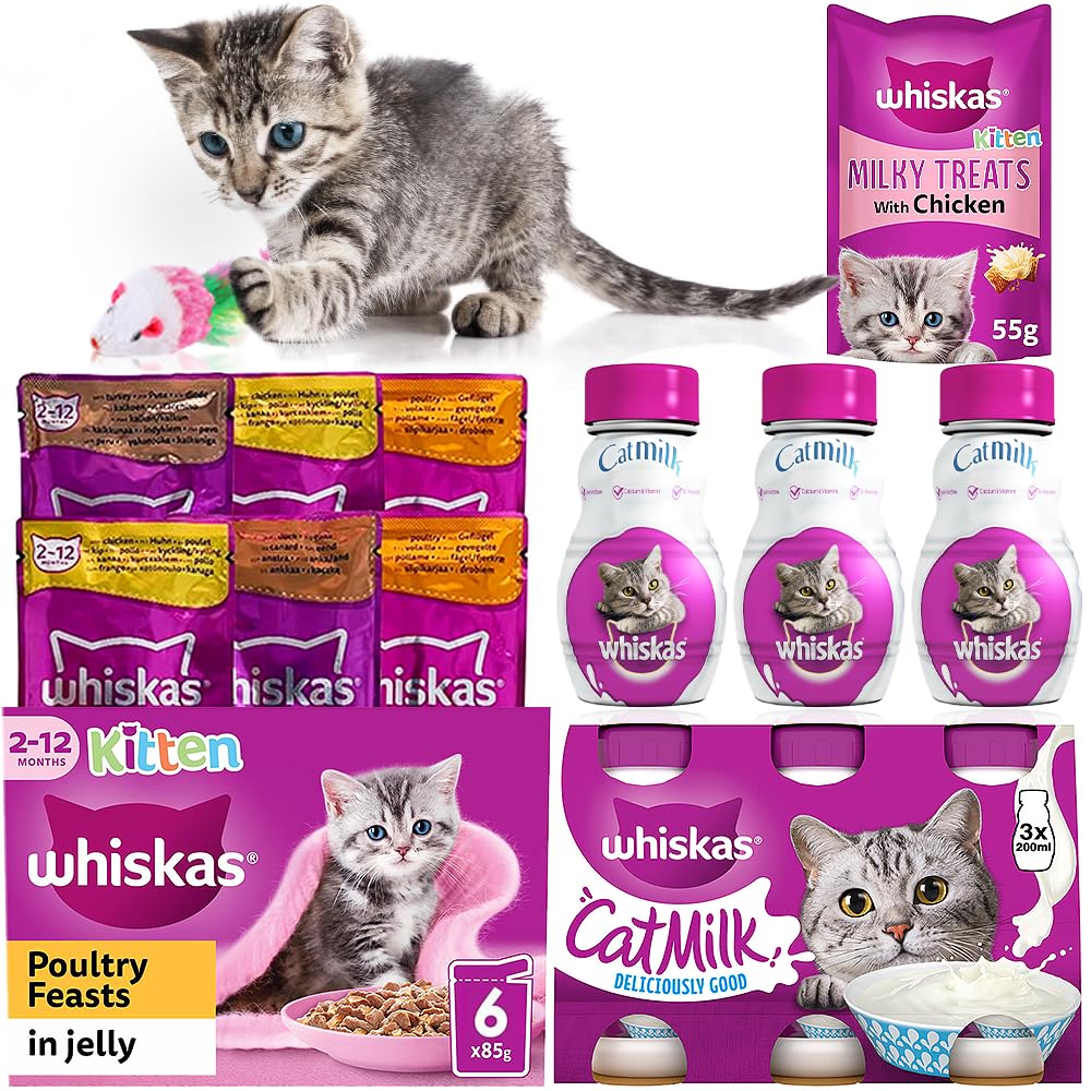 Whiskas Kitten Milk & Wet Food Pouches Bulk Bundle