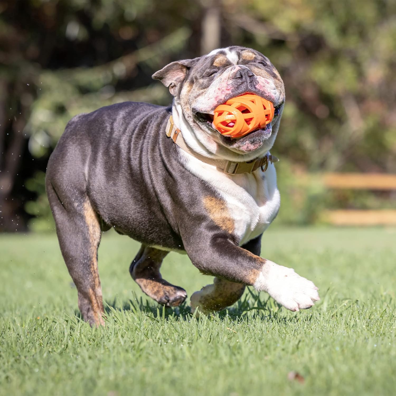Chuckit! Air Fetch Dog Ball Durable Rubber Dog Toy, American Football Throw Toy, Easy Breathe Improve Playtime Stamina Fetch Toy for Dogs