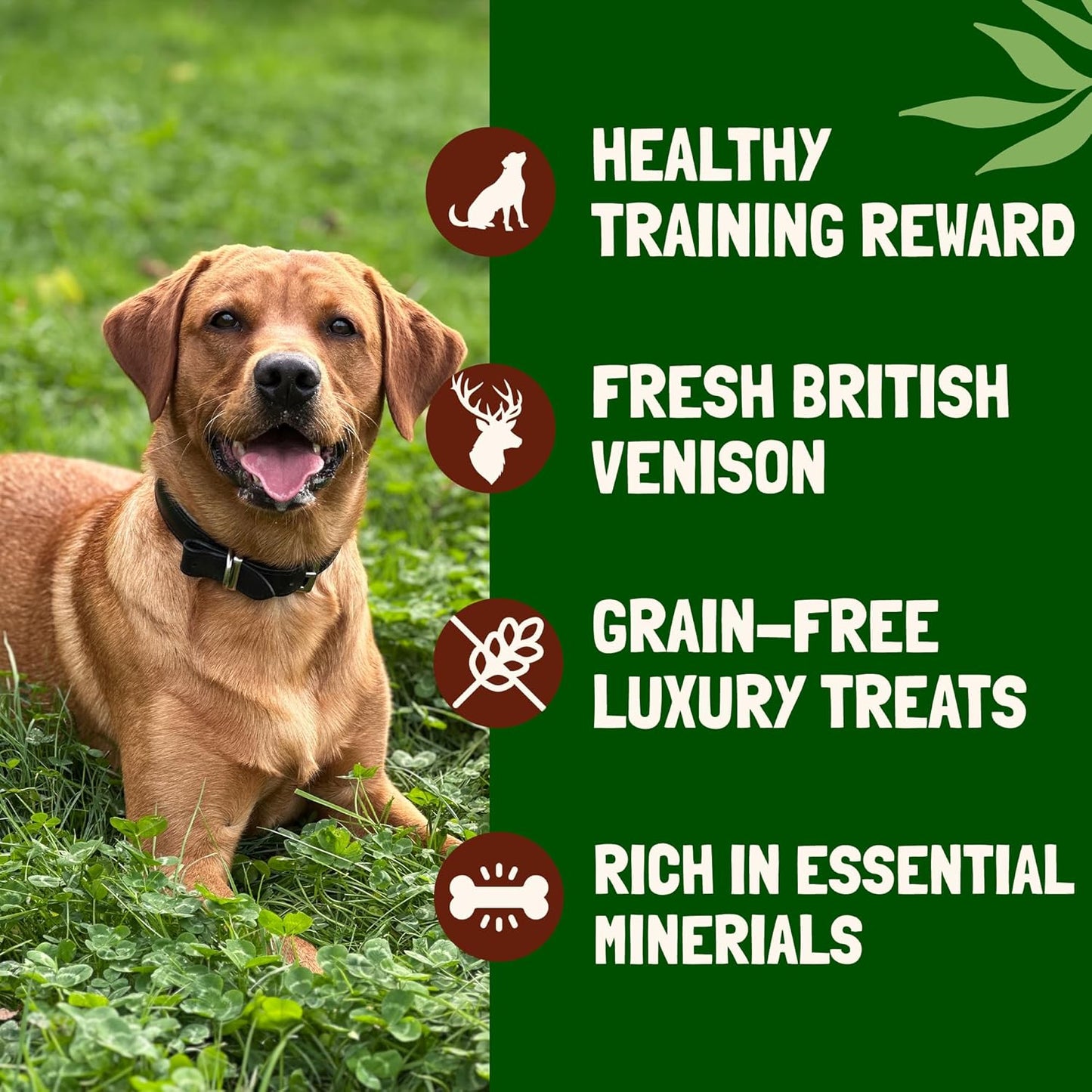 Sliced Venison Sausages Dog Treats – Luxury Natural & Grain Free Dog Treats, Puppy Training Treats, High Protein Venison Treats for Large & Medium Dogs, 500g Pack