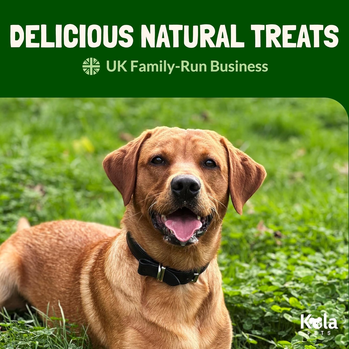 Sliced Venison Sausages Dog Treats – Luxury Natural & Grain Free Dog Treats, Puppy Training Treats, High Protein Venison Treats for Large & Medium Dogs, 500g Pack