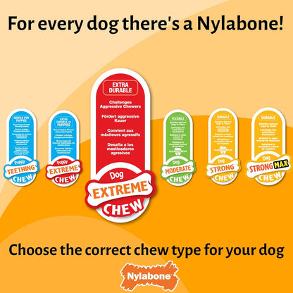 Nylabone Extreme Chewers Tough Nylon Dog Novelty Lobster Chew Toy, Durable, Boredom Breaker, Cleans Teeth, Filet Mignon Flavour, Extra Large, For Dogs 0-23+kg