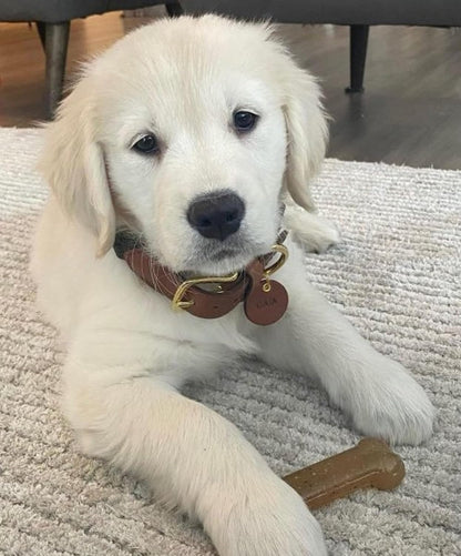 Nylabone Gentle Puppy Dog Teething Chew Toy Bones, Chicken/Peanut Butter Flavour, XS, for Puppies Up to 7kg (Twin Pack), for All Breed Sizes