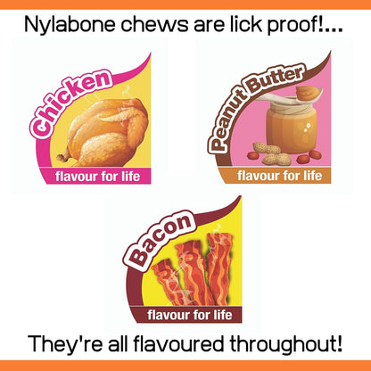 Nylabone Extreme Tough Dog Chew Toy Bones, Peanut Butter, Chicken, Bacon Flavoured, 3-Piece, Small, For Dogs Up To 11 kg