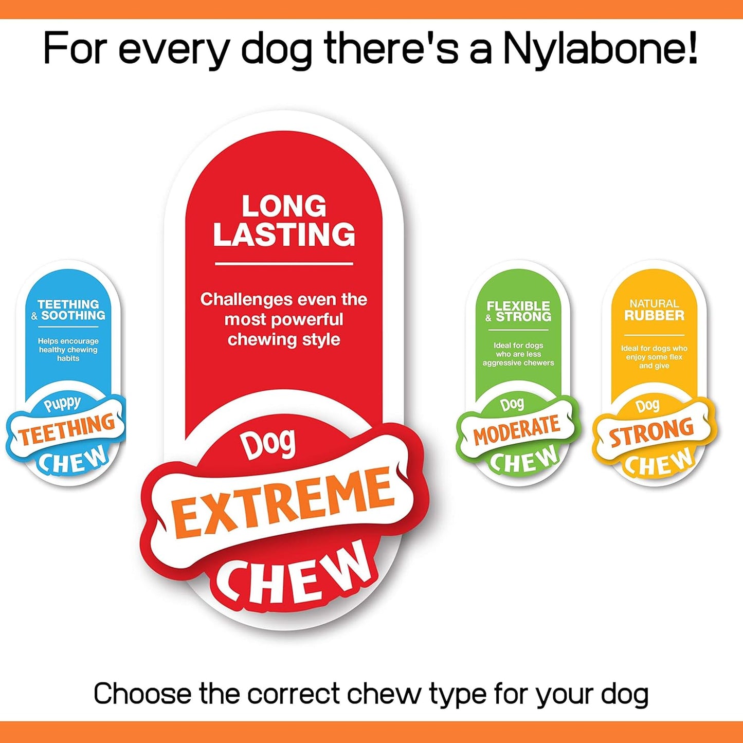 Nylabone Extreme Tough Dog Chew Toy Bones, Peanut Butter, Chicken, Bacon Flavoured, 3-Piece, Small, For Dogs Up To 11 kg